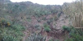 Messina: zona torrente Trapani in stato di assoluto degrado degrado-torrente-trapani