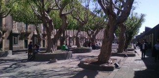 Catania: “Progetti di vita per persone con Autismo”, ai Benedettini