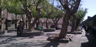 Catania: “Progetti di vita per persone con Autismo”, ai Benedettini