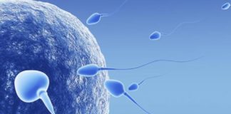 Messina, un convegno sulla procreazione assistita messina-procreazione-assistita