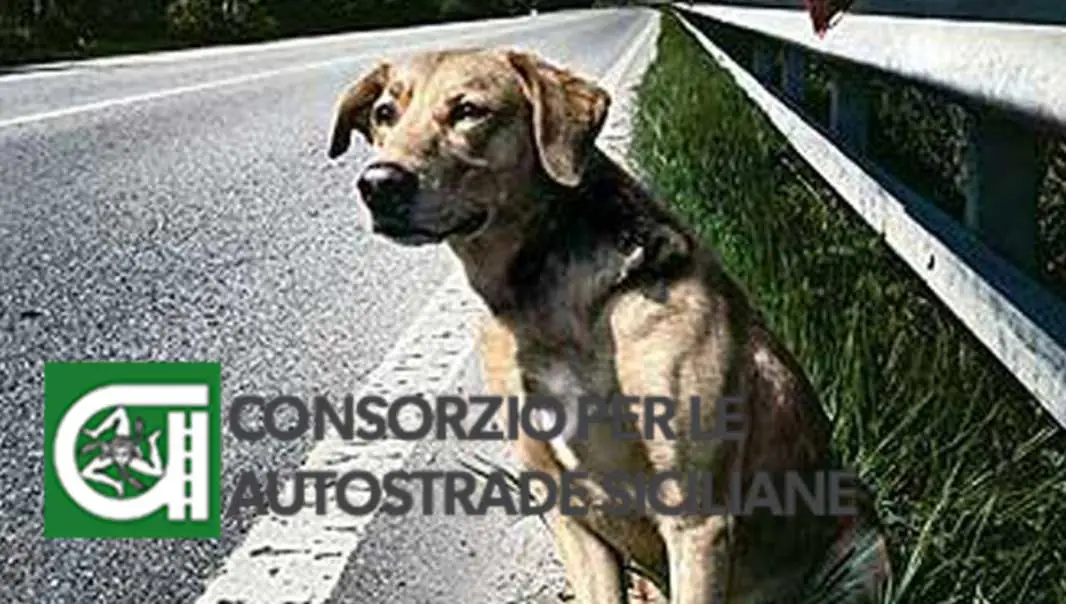 campagna-contro-labbandono-dei-cani-in-autostrada