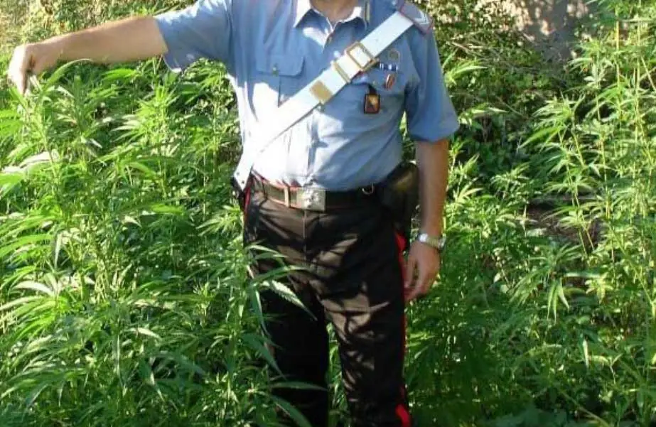 marijuana-carabinieri