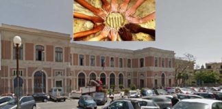 Università di Messina: 44 borse di studio riservate agli stranieri universita-di-messina-borse-di-studio-per-studenti-stranieri