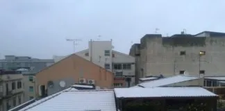 Cemento Disarmato