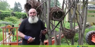 Questa sera alle ore 19: al Parco La Rocca di Buticari a Nizza di Sicilia, “Le Sentinelle”