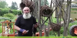 Questa sera alle ore 19: al Parco La Rocca di Buticari a Nizza di Sicilia, “Le Sentinelle”