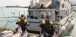 Nina Santisi e Sebastiano Pino: al servizio dei più fragili, operiamo in sinergia