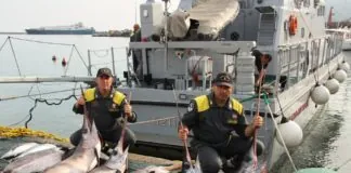 Nina Santisi e Sebastiano Pino: al servizio dei più fragili, operiamo in sinergia