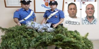 Messina: produzione e detenzione di droga: arrestati 2 fratelli nuova-immagine-45