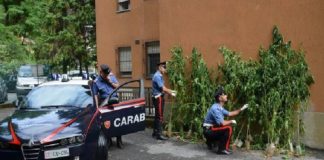 Aci Catena (CT): i Carabinieri lo hanno scoperto