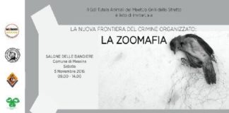 Messina: “Crimini e delitti nei confronti degli animali”