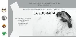 Messina: “Crimini e delitti nei confronti degli animali”