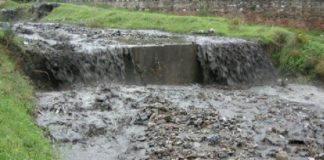 Competenza sul demanio fluviale, il Tribunale Superiore delle acque pubbliche ha emesso una sentenza