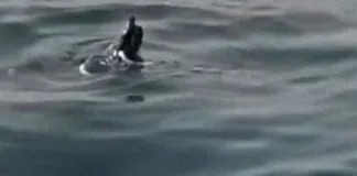 Libia: un naufragio, con 90 migranti dispersi