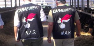 Controlli dei Nas nel Messinese: azienda casearia sequestrata a Librizzi nas