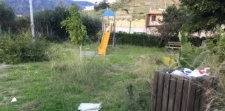 Verde ossimoro