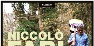 Niccolò Fabi – Una somma di piccole cose tour Niccolò Fabi