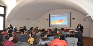 Vino: Enografia dell’Italia e del Mondo enoteca vino