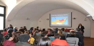 Vino: Enografia dell’Italia e del Mondo enoteca vino