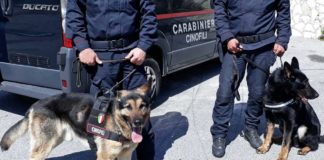 Messina: Arresti e denunce in zona Sud CC-cinofili