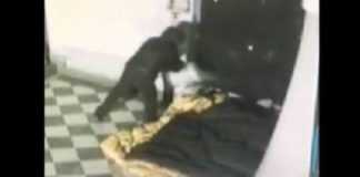 Palermo: movente passionale, alla base dell’omicidio del clochard Marcello Cimino