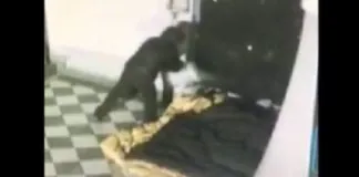 Palermo: movente passionale, alla base dell’omicidio del clochard Marcello Cimino