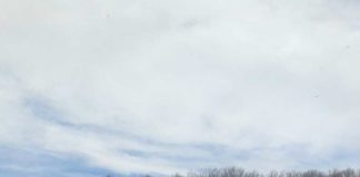 Raccuja (ME): Allevatore appiccava incendi sui Monti Nebrodi INCENDI Raccuja