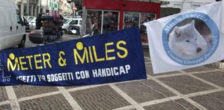 Meter & Miles (ME): “I nostri ringraziamenti, per questo 8 marzo”