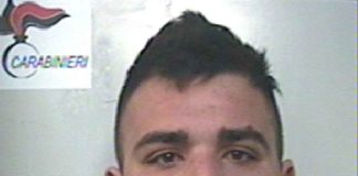 Arrestata una persona per furto di un gruppo elettrogeno. PETTINELLI-Mirko