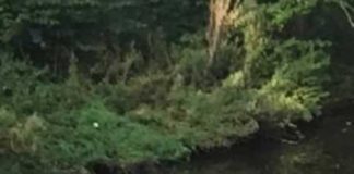 Taoarte: la Videobank, fa chiarezza sulla sua aggiudicazione