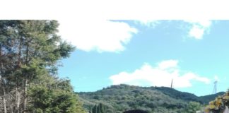 Alessio Calderone (Saponara – ME): “Sul Cimitero, una gestione discutibile”