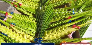 Catania: da Etnapolis è stata trasmessa su “Radio Cuore RMB”, la benedizione delle palme domenica-delle-palme