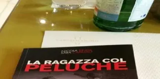 Sara Capasso (Omegna): “Il mio libro -La ragazza col peluche-“