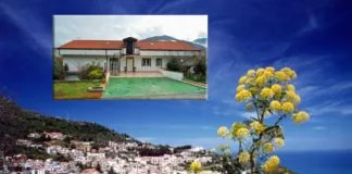 Montagnareale (ME): venerdì 7 aprile, aprirà “Villa Smile” montagnareale villa smile