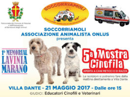 Quinta Mostra Cinofila e I° Memorial Lavina Marano 5a-mostra-cinofila