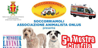 Quinta Mostra Cinofila e I° Memorial Lavina Marano 5a-mostra-cinofila