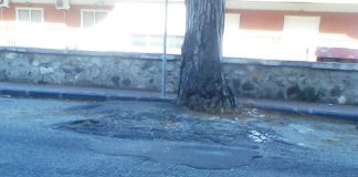 Palazzo Zanca: Libero Gioveni, interroga l’assessore Gaetano Cacciola