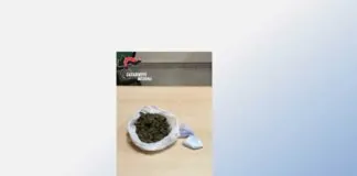 Bisconte, rinvenuta droga in un vano ascensore. Materiale-sequestrato