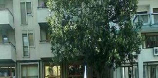 Palermo, 23 maggio 2017: “La Strage di Capaci”