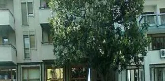 Palermo, 23 maggio 2017: “La Strage di Capaci”