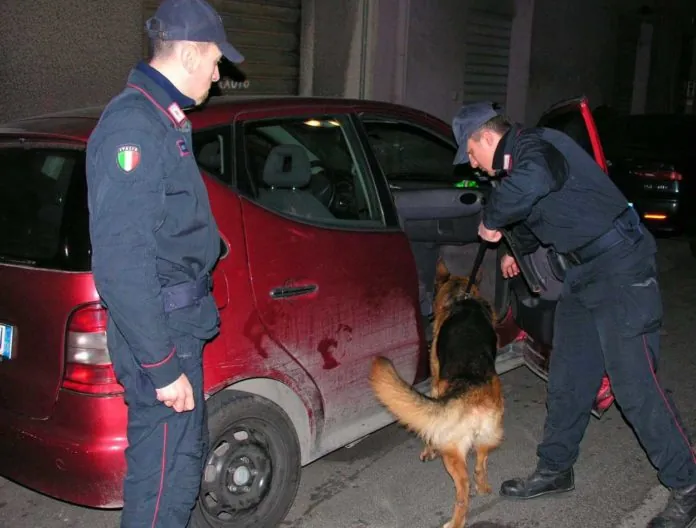 foto di repertorio Carabinieri cinofili in attività