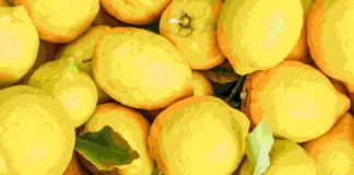 Arrestati due messinesi per furto di limoni furto di limoni