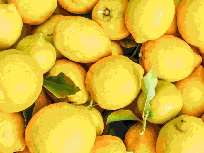 furto di limoni