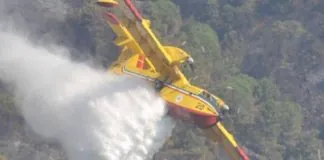 Scirocco e caldo: oggi, diversi incendi in cittÃ