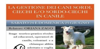 Caluso (TO): al canile, uno stage teorico pratico