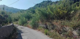 SAPONARA: I CONSIGLIERI NICOLA BERTINO E ALESSIO CALDERONE DENUNCIANO PER L’ENNESIMA VOLTA IL DEGRADO E L’ABBANDONO DI VIA MAIORANI E DEL VALLONE TRAINITI degrado