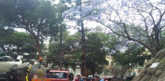 Jessica Scimone (ME): “Ieri l’assessore Ialacqua alla RTP, spiegava di aver risolto il problema dei pesci rossi di villa Mazzini”