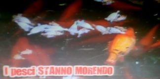 Messina, “villa Mazzini”: uno scempio sotto gli occhi dei bambini