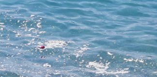 Anna Maria Messina (Giardini Naxos): “Nulla è stato fatto dall’Amministrazione comunale, per rimediare alla carenza igienica della spiaggia di Recanati”