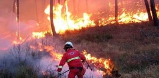 “Il contributo di CapitaleMessina all’analisi dell’emergenza incendi. incendio